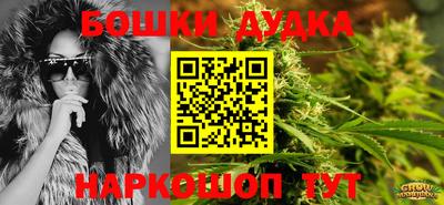 mdpv Малоярославец