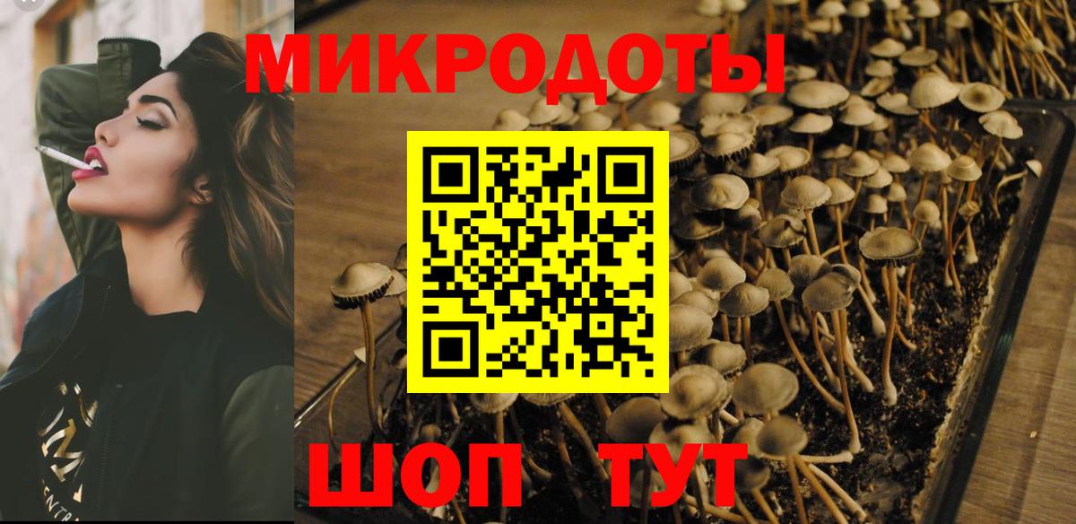 Псилоцибиновые грибы Psilocybe Таганрог