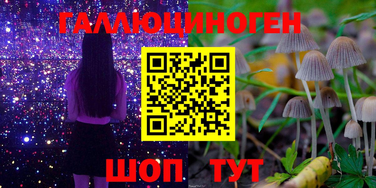 Псилоцибиновые грибы Psilocybine cubensis  Вход с VPN  Таганрог 